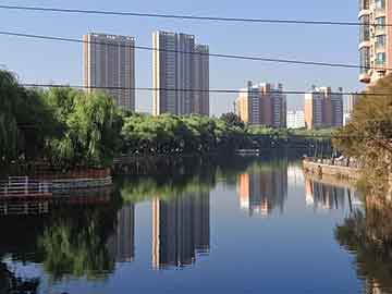 澳彩图库00853tk	和市长在办公室被枪杀与资料说明诠释方案_13f5311.111.77